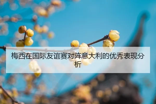 mei-xi-zai-guo-ji-you-yi-sai-dui-zhen-yi-da-li-de-you-xiu-biao-xian-fen-xi-2-279.jpg