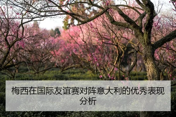 梅西在国际友谊赛对阵意大利的优秀表现分析
