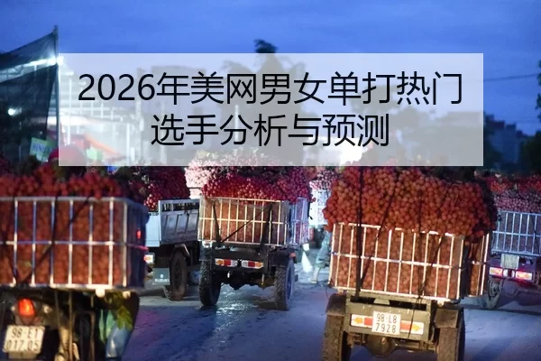 2026年美网男女单打热门选手分析与预测