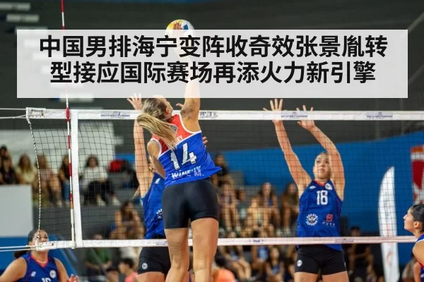 volleyball match