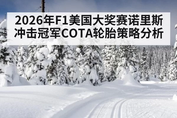 2026年F1美国大奖赛诺里斯冲击冠军COTA轮胎策略分析